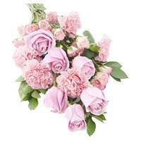 Pink Rose Carnation Bouquet with Rakhi to India