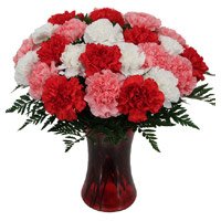 Send Rakhi with Red Pink White Carnation Vase 24 Flowers in India Online