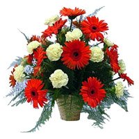 Same Day Red Gerbera White Carnation Basket 24 Flowers with Rakhi in India