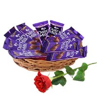 Gift hamper for Rakhi Delivery in India 12 Dairy Milk Chocolate Basket With 1 Red Rose Bud