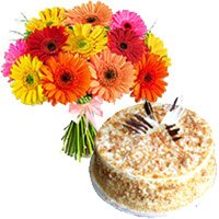 Online Butter Scotch Cake with Rakhi and 12 Mix Gerbera Bouquet to India