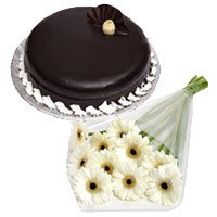 Deliver Online White Gerbera, Chocolate Truffle Cakes to India on Rakhi