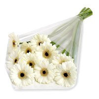 Send Rakhi with White Gerbera Bouquet to India