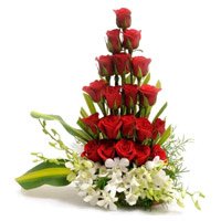 Online 4 Orchids 20 Roses Arrangement with Rakhi to India