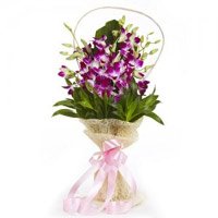 Rakhi with Purple Orchid Flowers Delivery in India