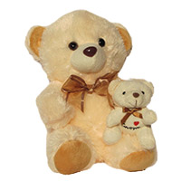 Send Gifts to India - Teddy Day Gifts