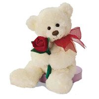 Teddy Bear Same Day Delivery in India