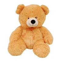 Teddy Bear India